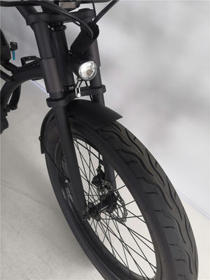 24-Zoll-Lange-Rahmen-Elektro-Strandfahrrad mit 48-Volt-Bürstenlos-Motor und 3,0-Fettreifen