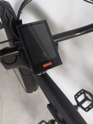 24-Zoll-Lange-Rahmen-Elektro-Strandfahrrad mit 48-Volt-Bürstenlos-Motor und 3,0-Fettreifen