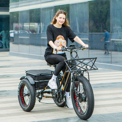 Große Leistung 48V 13AH 750W 45KM/H UL2849 Bafang Frontmotor Elektro-Fettreifen Dreirad 20