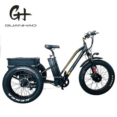 USA 24&quot;20&quot; Motorisiertes Bafang 8fun 750W 48V 17a Erwachsener 3 Räder Cargo Ebike Elektro Dreirad