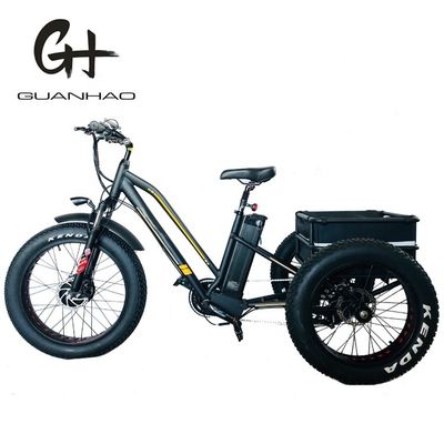 USA 24&quot;20&quot; Motorisiertes Bafang 8fun 750W 48V 17a Erwachsener 3 Räder Cargo Ebike Elektro Dreirad