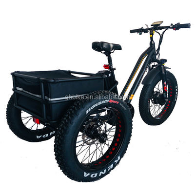 USA 24&quot;20&quot; Motorisiertes Bafang 8fun 750W 48V 17a Erwachsener 3 Räder Cargo Ebike Elektro Dreirad