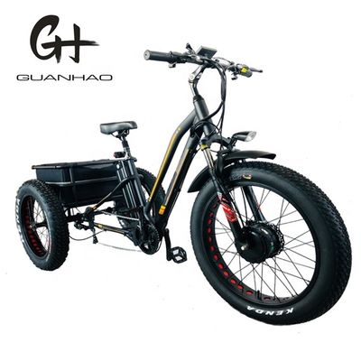USA 24&quot;20&quot; Motorisiertes Bafang 8fun 750W 48V 17a Erwachsener 3 Räder Cargo Ebike Elektro Dreirad