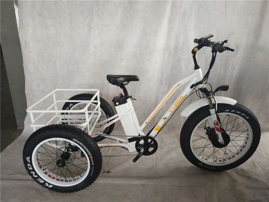USA 24&quot;20&quot; Motorisiertes Bafang 8fun 750W 48V 17a Erwachsener 3 Räder Cargo Ebike Elektro Dreirad