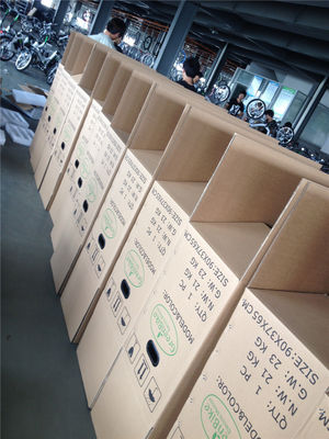 Klappfahrrad für Israel Grünes Fahrrad 350W Magnetrad 36V Spannung 7 Geschwindigkeiten