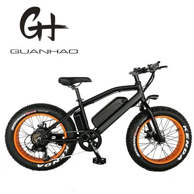 750 W 20 Zoll Fettreifen Mini Mountain Electric Bike ZOOM Stamm Reichweite pro Leistung 10-30 km