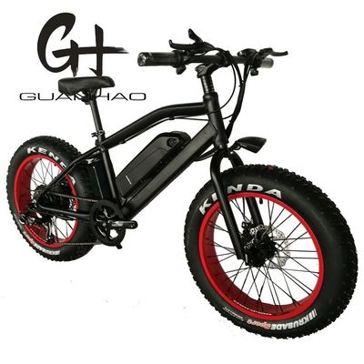750 W 20 Zoll Fettreifen Mini Mountain Electric Bike ZOOM Stamm Reichweite pro Leistung 10-30 km