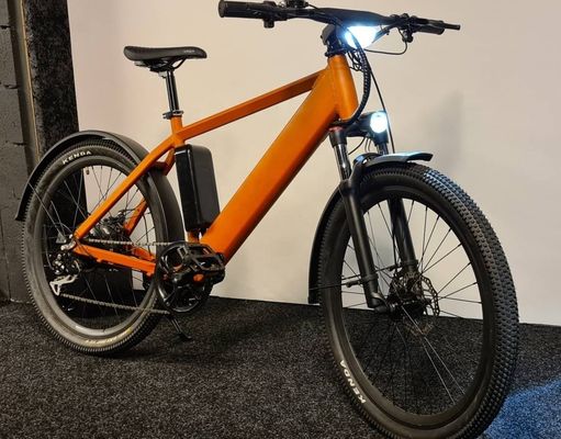 1000W 48V 14AH versteckte Batterie versteckte E-MTB LCD-Display elektrisches Mountainbike für Ihre