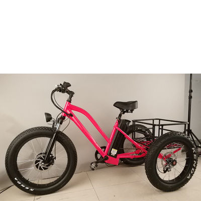 500 Watt Ladung Erwachsener 3-Rad-Elektrofahrrad mit Fat Aluminium Felge und EN71 Zertifikat