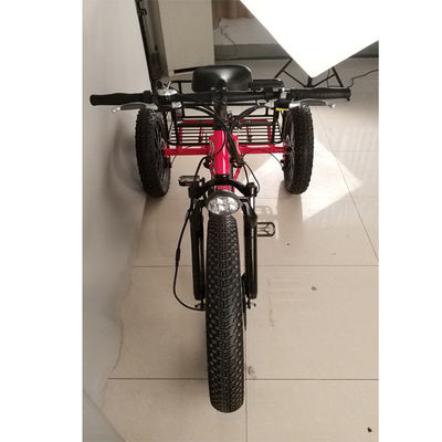 500 Watt Ladung Erwachsener 3-Rad-Elektrofahrrad mit Fat Aluminium Felge und EN71 Zertifikat