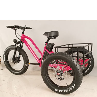 500 Watt Ladung Erwachsener 3-Rad-Elektrofahrrad mit Fat Aluminium Felge und EN71 Zertifikat
