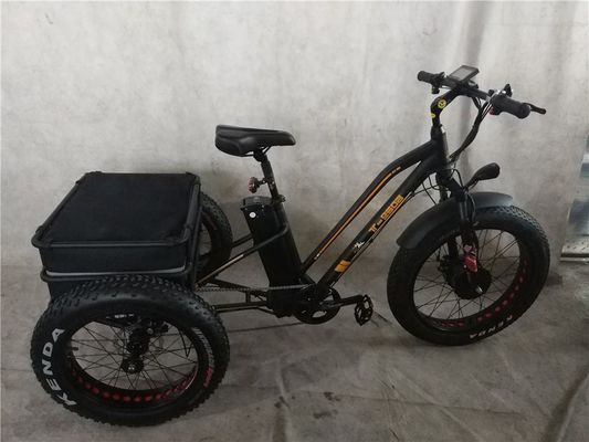 Unkompliziert durch die Stadt fahren mit unserem 350 Watt-Drei-Rad-Elektrobike für ältere Fahrer