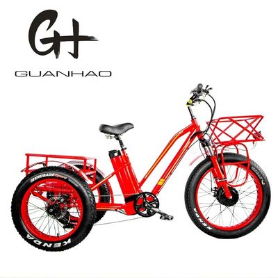 Öffnen Körper Typ 24 Zoll 20 Zoll BAFANG Front Motor Elektro Dreirad für Erwachsene 48V21AH 750W