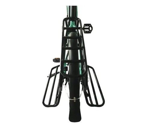 20&quot; Magnesium-Legierungsrahmen Ananda Bafang MID Drive Elektrofahrrad für Familie oder Frachtlieferung