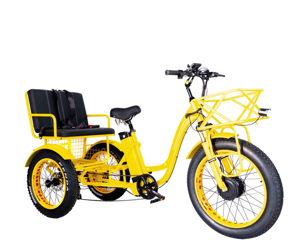 Elektrische Rikscha 750W Front BaFang Motor 21AH Lithiumbatterie 60KM USA Erwachsener 24&quot; Fett Schnee Großer Reifen Beifahrersitz