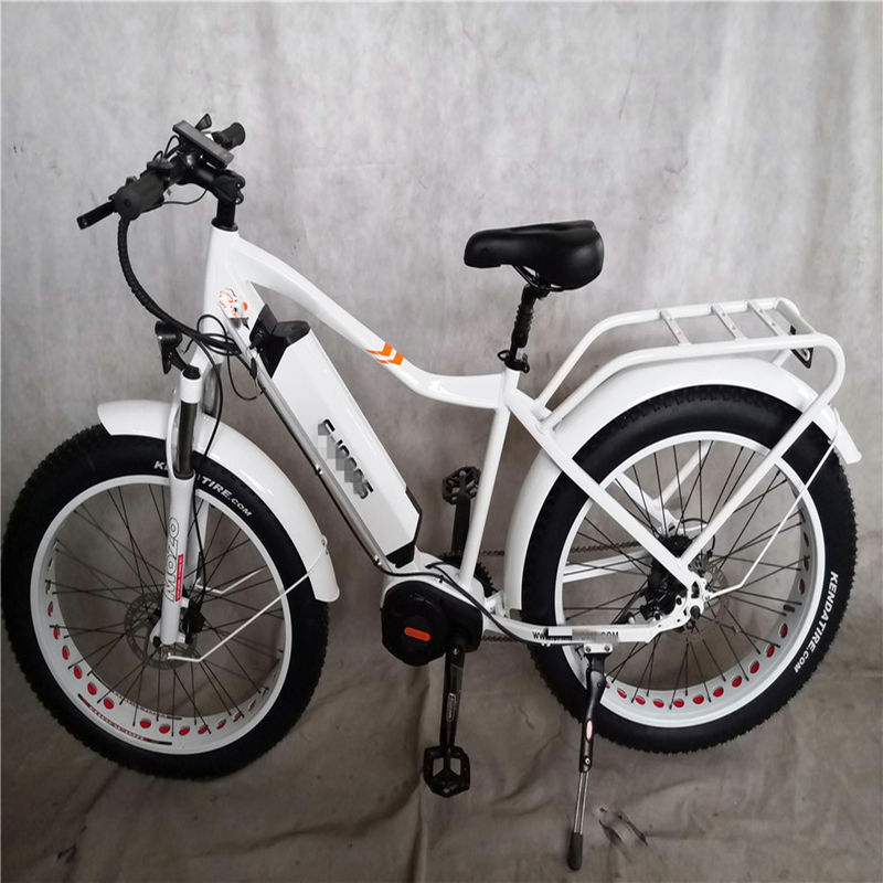 1000W Bafang Mitteldrive Motor Legierung Hinterträger Zentral-Elektrofahrrad mit Standards