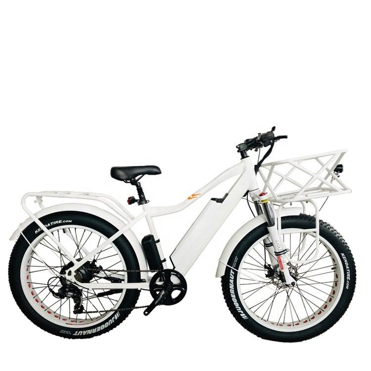 26&quot; 4.0 Big Snow Fat Tire Elektrofahrrad mit Scheibenbremse und 1000W 48V 17AH Hinter BaFang Motor