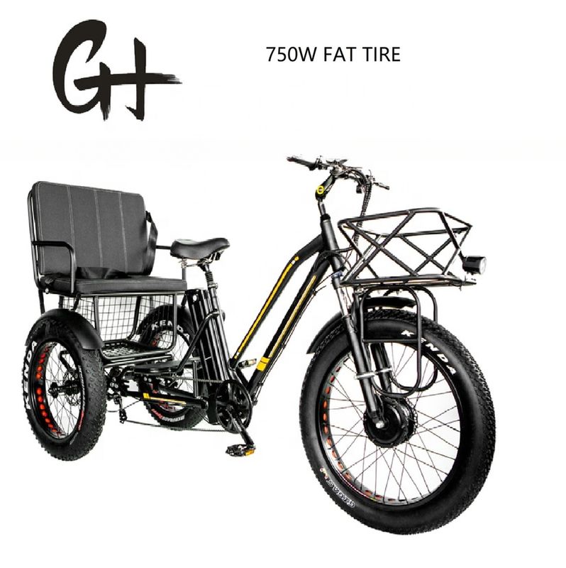 Bafang 750 Watt Motor Elektrotrickrad mit Fettreifen E Drei Räder und Fahrgastsitz