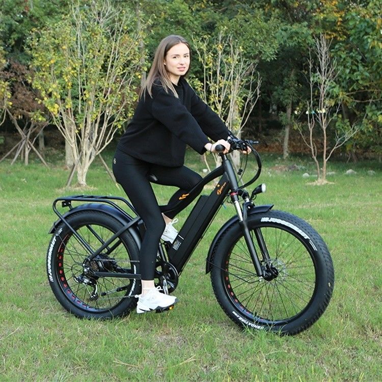 48V 1000W 17AH Lithiumbatterie OEM EN15194 CE Individuelles Elektro-MTB-Bergrad mit Fettreifen