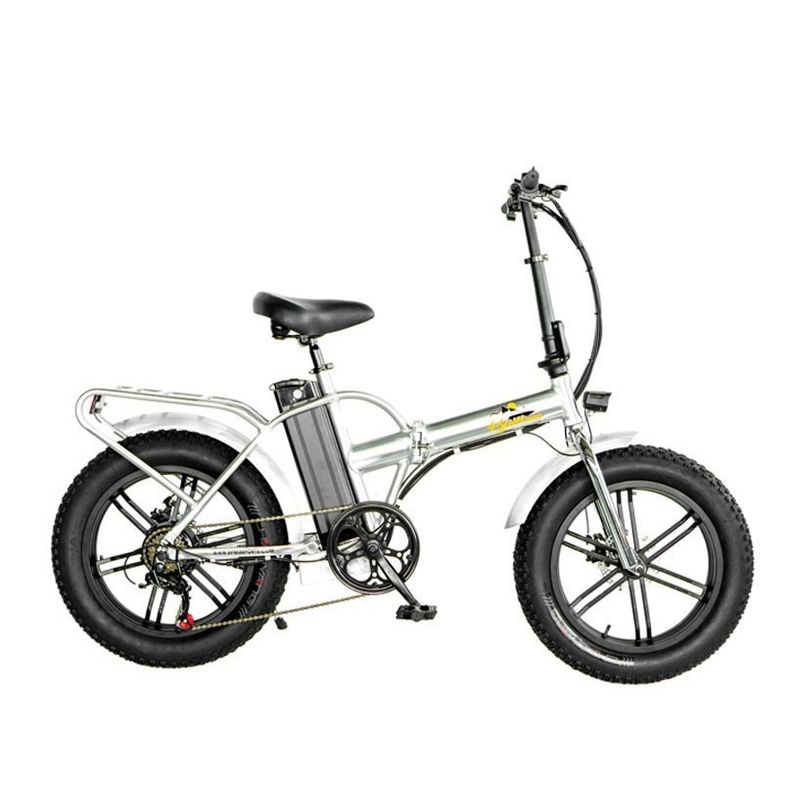 750W 1000W 48V Fettreifen 4,0 &quot;Faltbarer Silberrahmen 5 Speichen Elektro-Faltbauer Fahrrad 20 Zoll