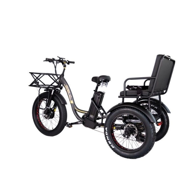 Elektrofahrrad-Rikscha-Taxi mit 48V 1000W Motor Bafang-Kranke und Kenda 24*4.0 Reifen