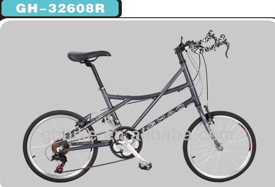 14 Geschwindigkeit 20 Zoll Mini Road Bike Fahrrad mit Doppelwand Aluminiumfelge und Klappfahrzeug