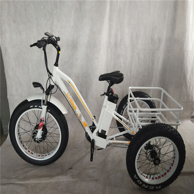 750W Elektrofahrrad 3 Räder Fettreifen für Erwachsene E Trike Ladung Drehmoment 70-80 Nm Scheibenbremsen