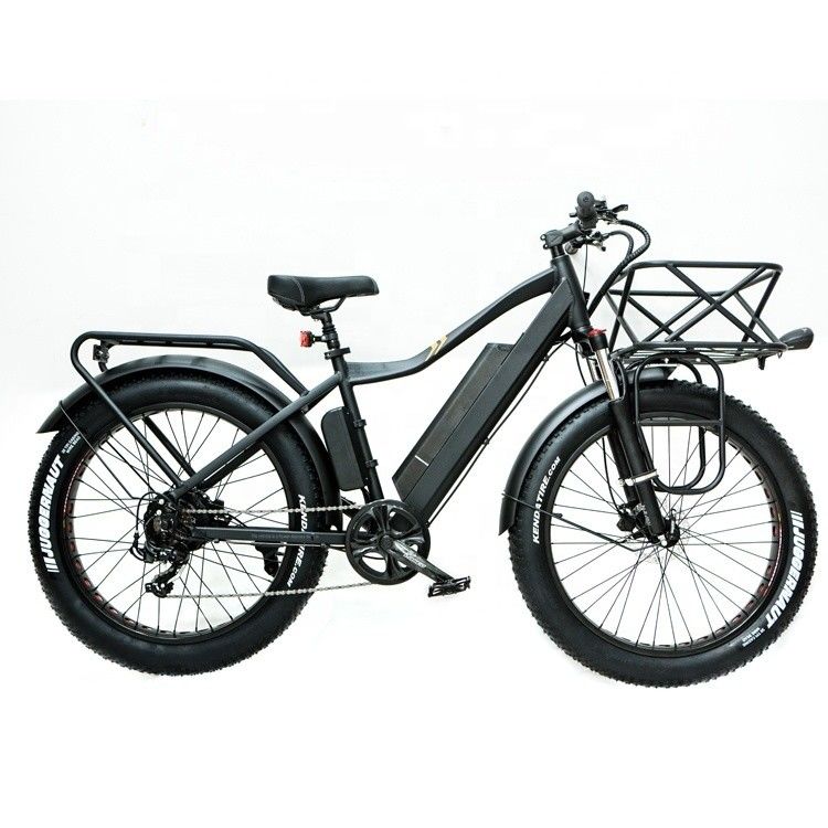 52V 1000W Bafang Motor 17AH Lithium 55KM/h Hinter Hub Schnee Fettreifen Berg Elektrofahrrad