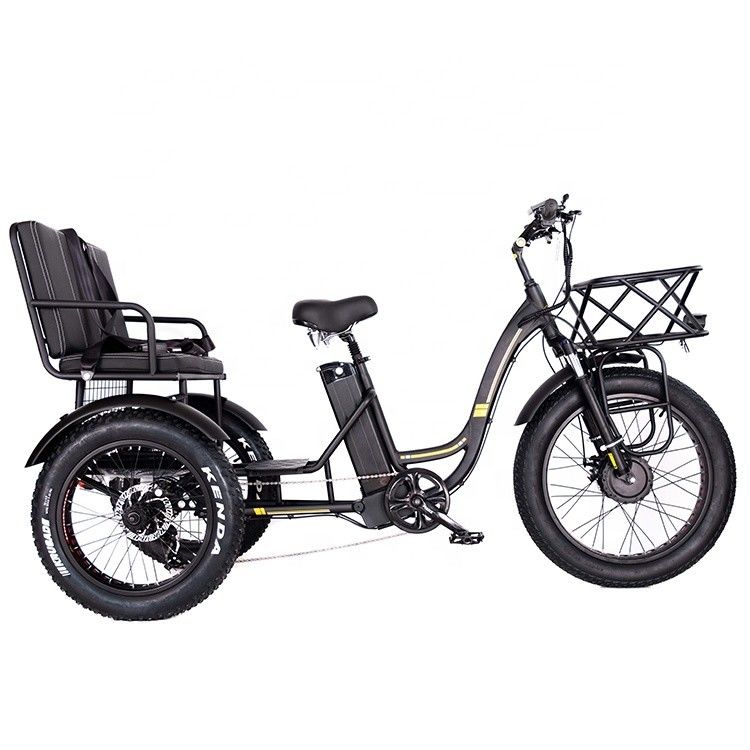 Leichtgewicht Aluminiumrahmen Elektro Dreirad 48V 750W 21AH 50KM/H für Erwachsene