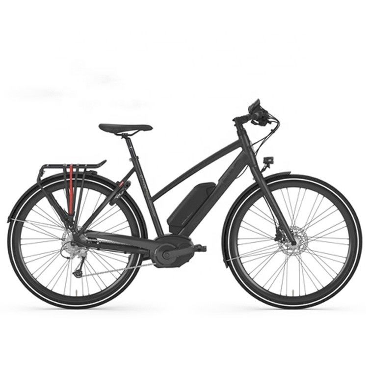 Bafang Central Motor 25KM/h 8.8AH Lithiumbatterie OEM CE Elektro-Stadt-Ladenträger