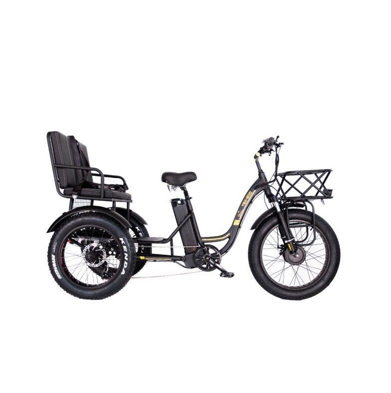 16.7 Ah Batteriekapazität 750 WATT Schwerlast-Rikscha Elektro-Dreifahrrad für Fahrgäste