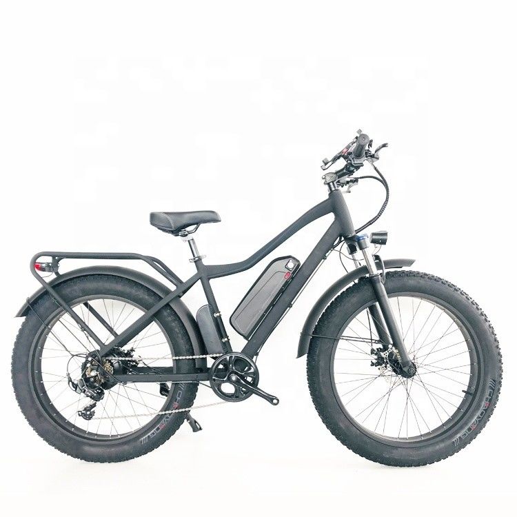48V 1000W 17AH 50KM/H USA OEM Customized Fat Tire Elektro-Bergrad für Fracht