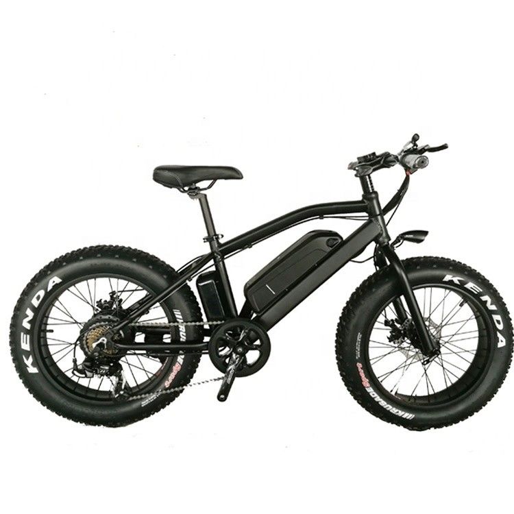 20&quot; Aluminium Alloy Frame Boy Mini 48V 4.0 USA CE 750W Kid Mountain Elektrobike