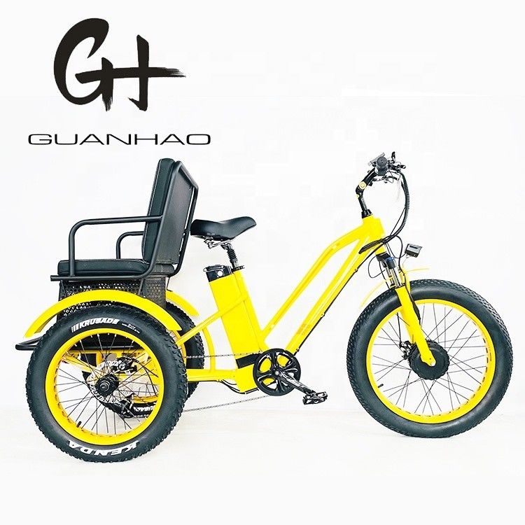 24-Zoll-Schnee-Fettreifen 4.0 Elektro-Rikscha-Dreirad mit 48V 750W Motor und Rücksitz