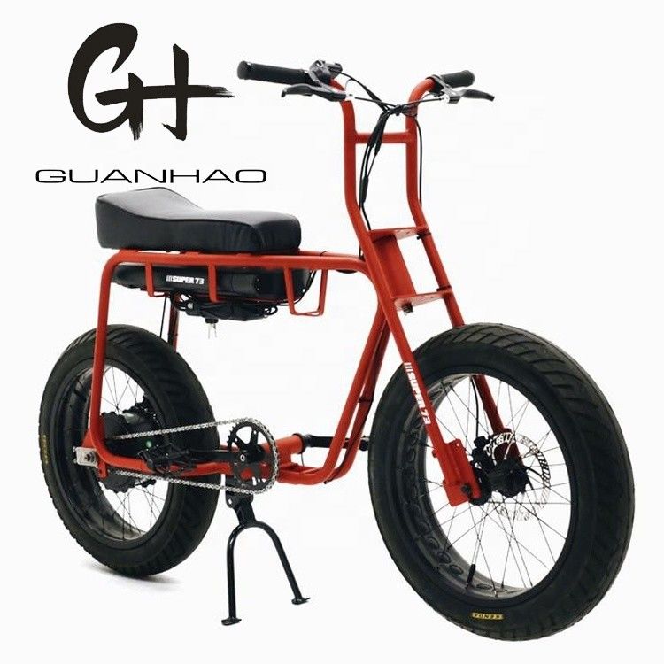 Scheibenbremse 20 Zoll 750w 1000w Doppelbatterie Elektro-Fettreifen Mountainbike Vintage 2 Sitzplätze Beach Cruiser Max 50KM/H E-Bike