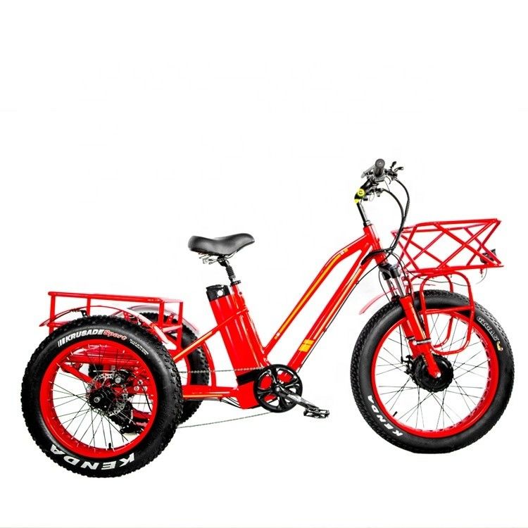 48V 750W Frontmotor 24&quot; Erwachsener Elektro Dreirad mit 17AH Lithium-Batterie und Fat Snow Reifen