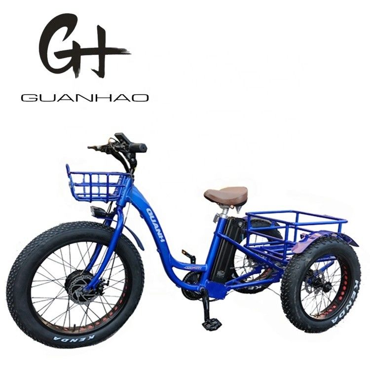Öffnen Körper Typ 24 Zoll 20 Zoll BAFANG Front Motor Elektro Dreirad für Erwachsene 48V21AH 750W
