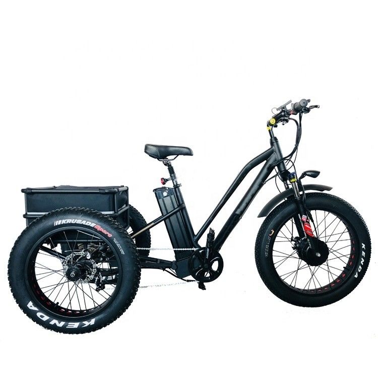 Große Leistung 48V 13AH 750W 45KM/H UL2849 Bafang Frontmotor Elektro-Fettreifen Dreirad 20