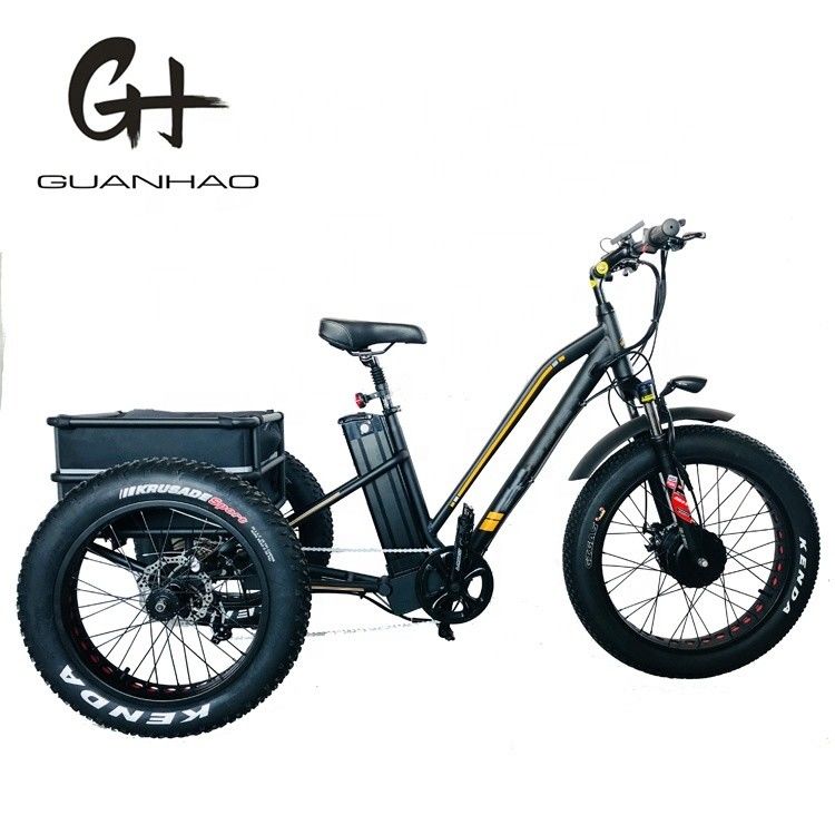 USA 24&quot;20&quot; Motorisiertes Bafang 8fun 750W 48V 17a Erwachsener 3 Räder Cargo Ebike Elektro Dreirad