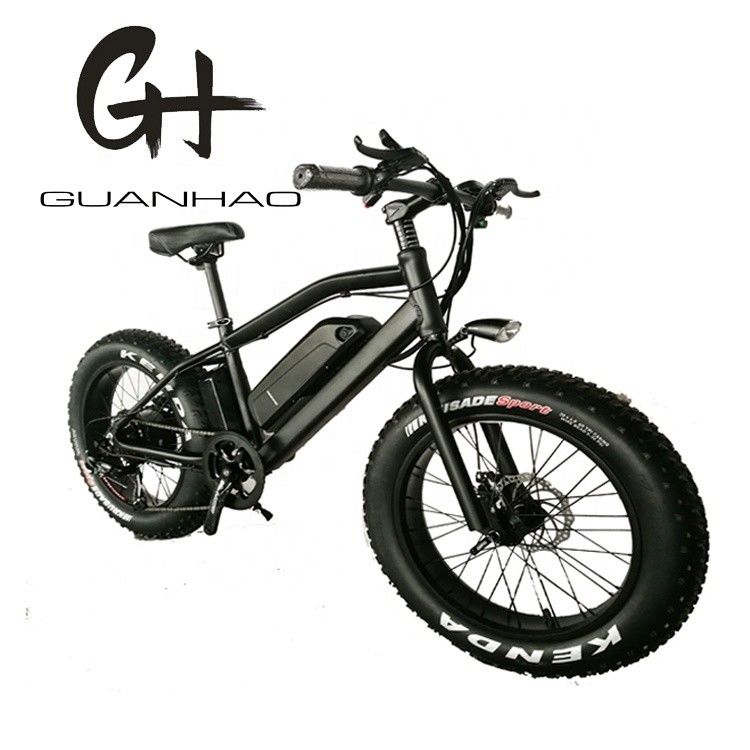 750 W 20 Zoll Fettreifen Mini Mountain Electric Bike ZOOM Stamm Reichweite pro Leistung 10-30 km
