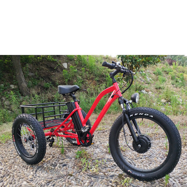 500 Watt Ladung Erwachsener 3-Rad-Elektrofahrrad mit Fat Aluminium Felge und EN71 Zertifikat